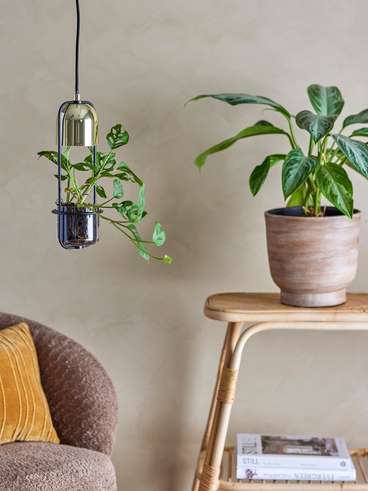 Gullak-riippuvalaisin, 2kpl