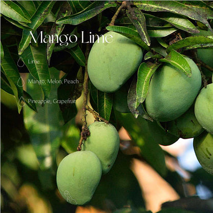 Mango Lime tuoksuöljy 10ml